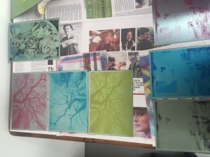 IMG_3012 IMG_3012